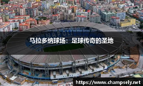 芒果体育官方网站