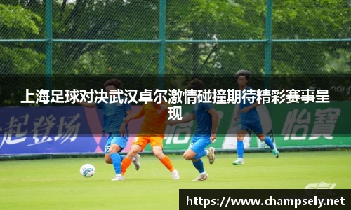 上海足球对决武汉卓尔激情碰撞期待精彩赛事呈现