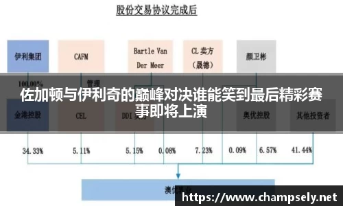 佐加顿与伊利奇的巅峰对决谁能笑到最后精彩赛事即将上演