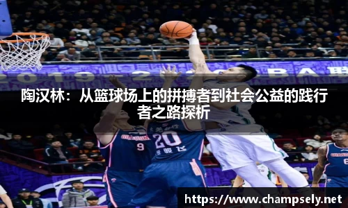 陶汉林：从篮球场上的拼搏者到社会公益的践行者之路探析